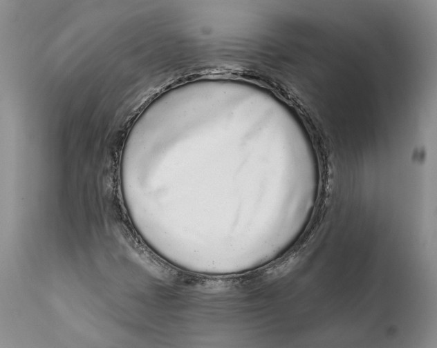 X0000111891401200908201310