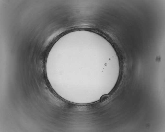 X0000111891402200908201310