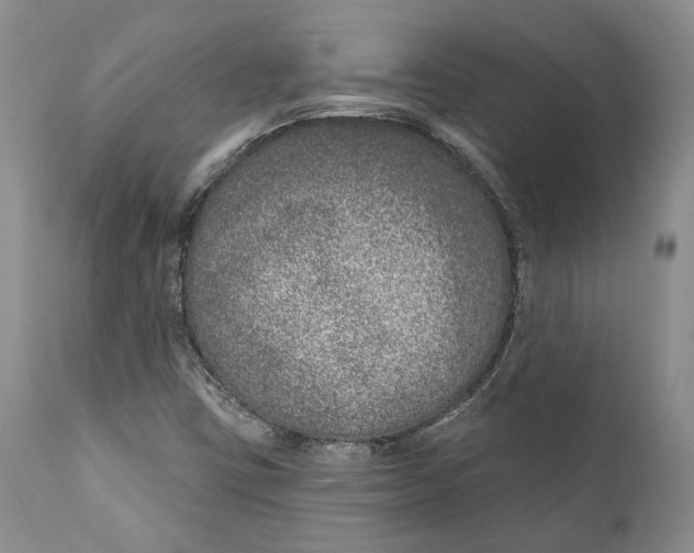 X0000111891403200908201310