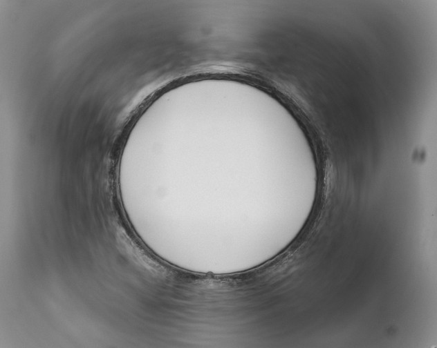 X0000111891404200908201310