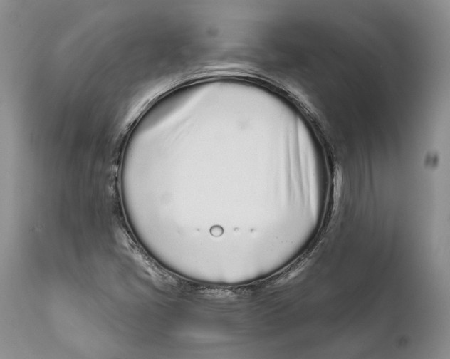 X0000111891405200908201310