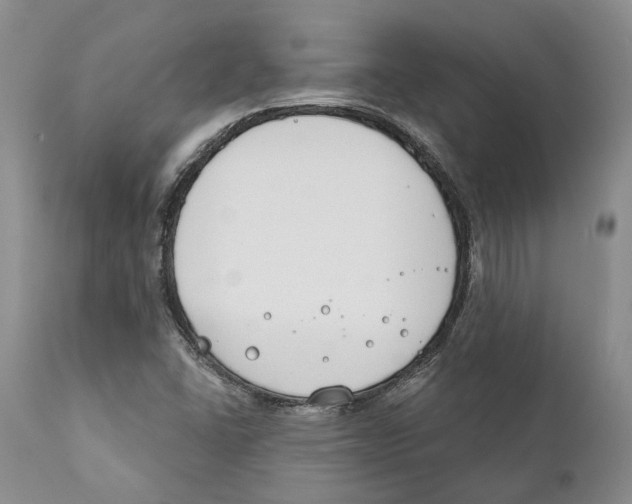 X0000111891406200908201310