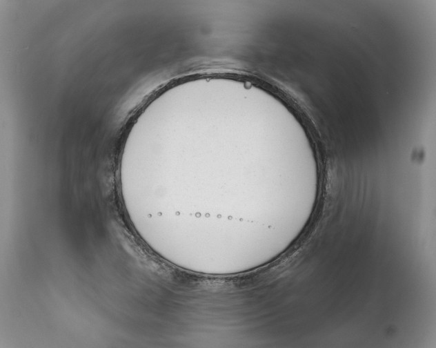 X0000111891407200908201310