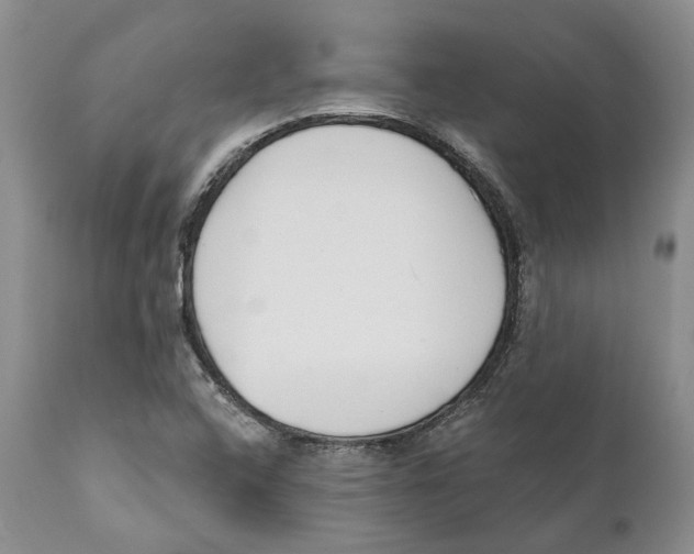 X0000111891408200908201310