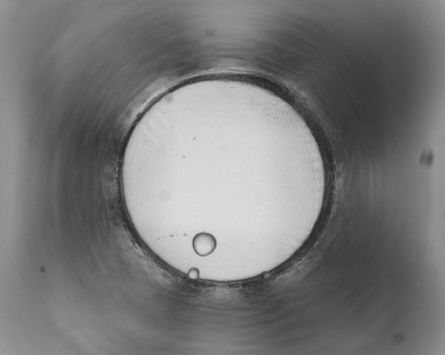 X0000111891409200908201310