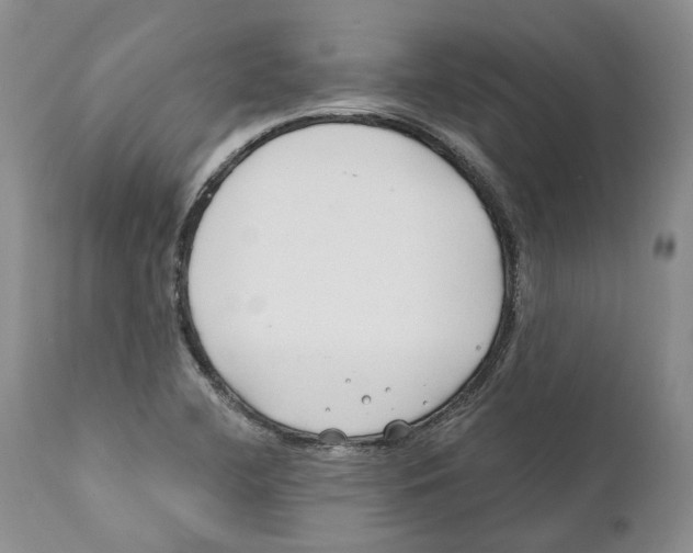 X0000111891412200908201310