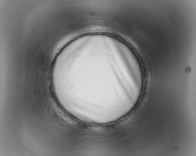 X0000111891413200908201310