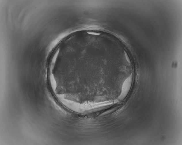 X0000111891414200908201310