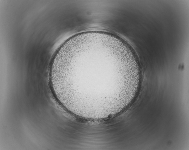 X0000111891415200908201310