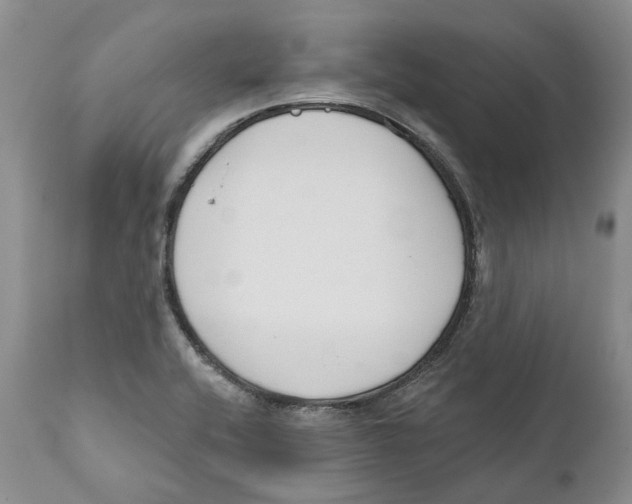 X0000111891416200908201310