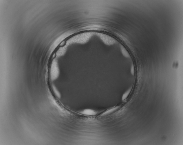 X0000111891418200908201310