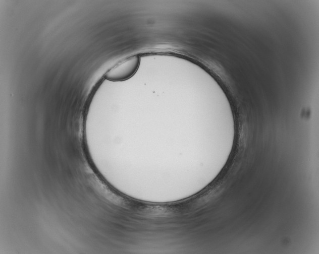 X0000111891420200908201310