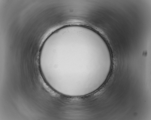 X0000111891421200908201310