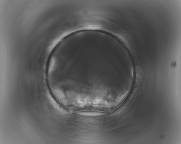 X0000111891422200908201310