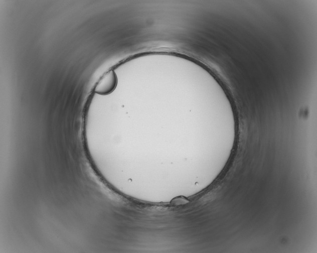 X0000111891424200908201310