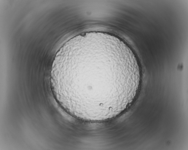 X0000111891425200908201310