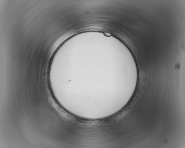 X0000111891426200908201310