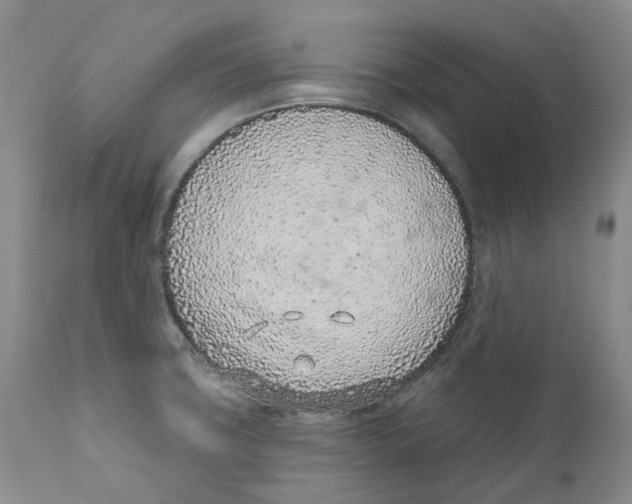 X0000111891427200908201310