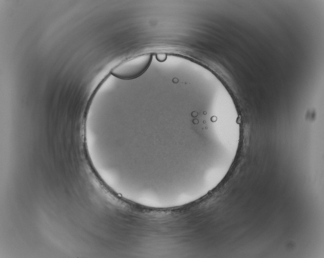 X0000111891428200908201310