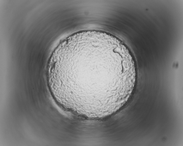 X0000111891429200908201310