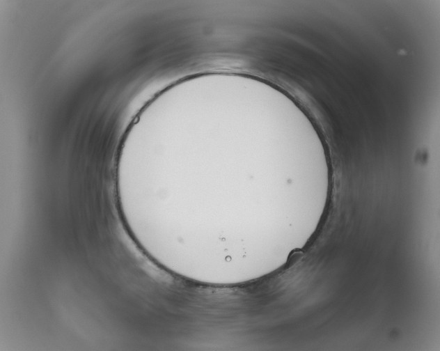 X0000111891432200908201310