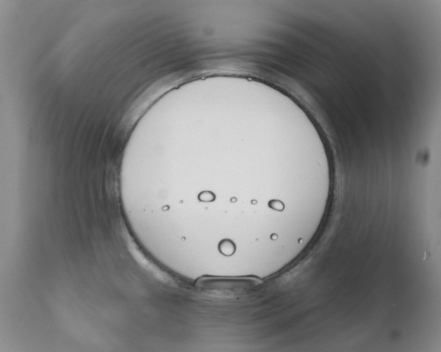 X0000111891433200908201310