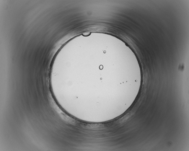 X0000111891434200908201310