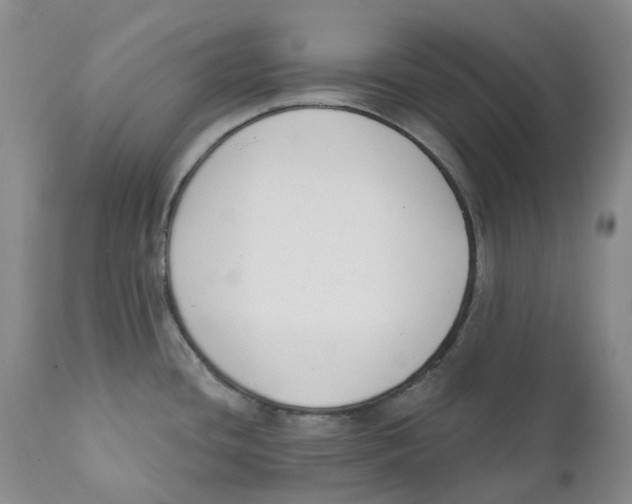 X0000111891436200908201310