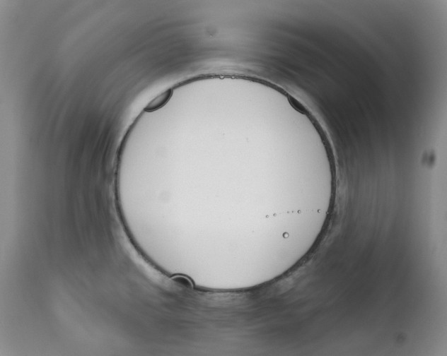 X0000111891437200908201310