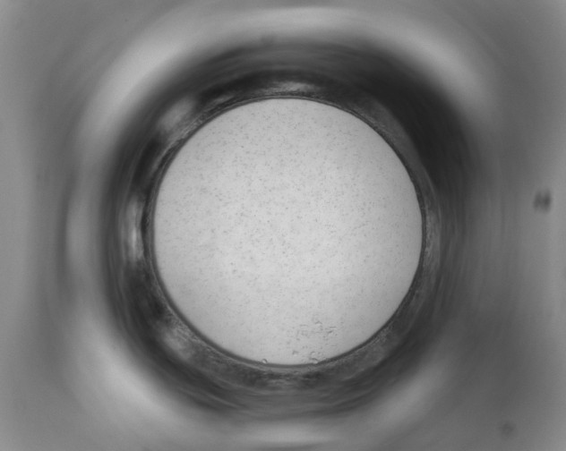 X0000111891439200908201310