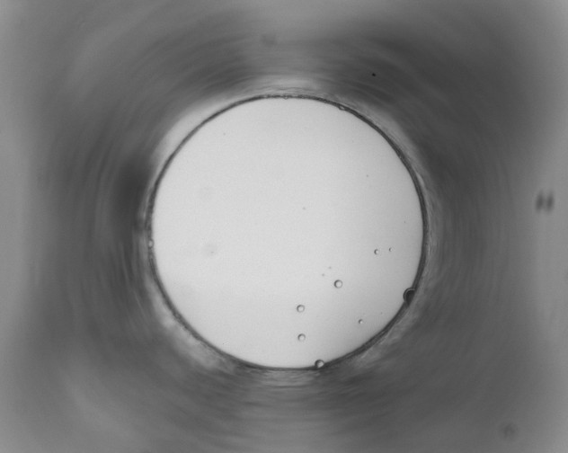 X0000111891440200908201310