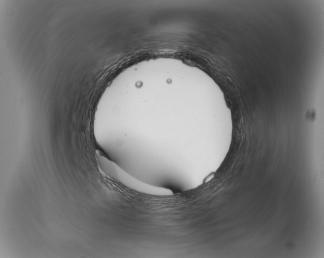 X0000111891441200908201310