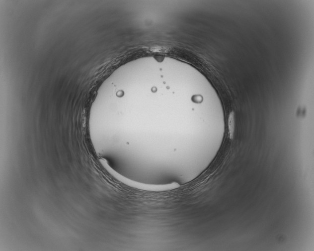 X0000111891443200908201310