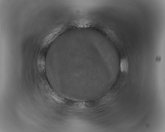 X0000111891444200908201310