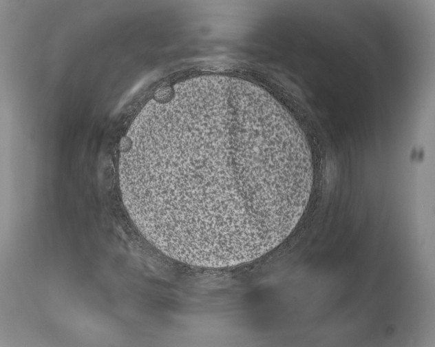 X0000111891446200908201310