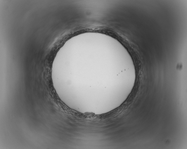 X0000111891447200908201310