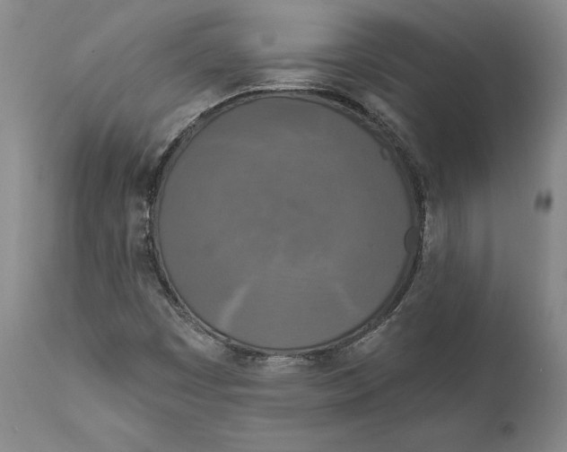 X0000111891449200908201309