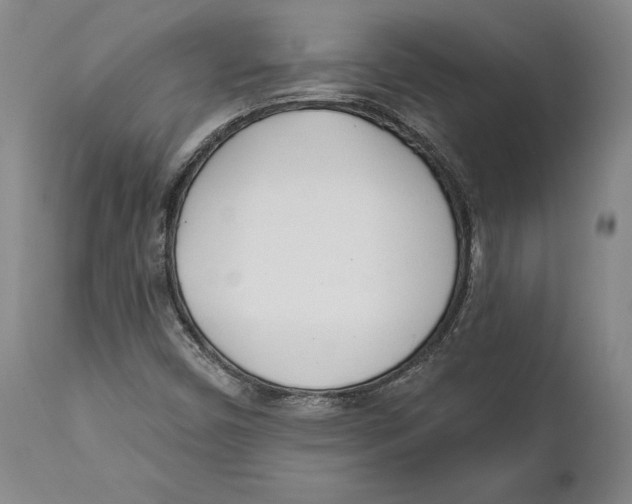 X0000111891450200908201309