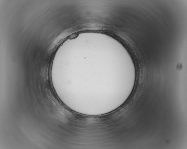 X0000111891451200908201309