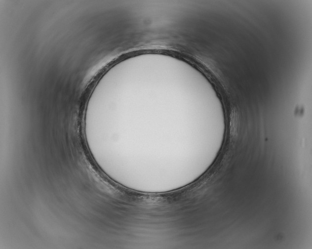 X0000111891452200908201309