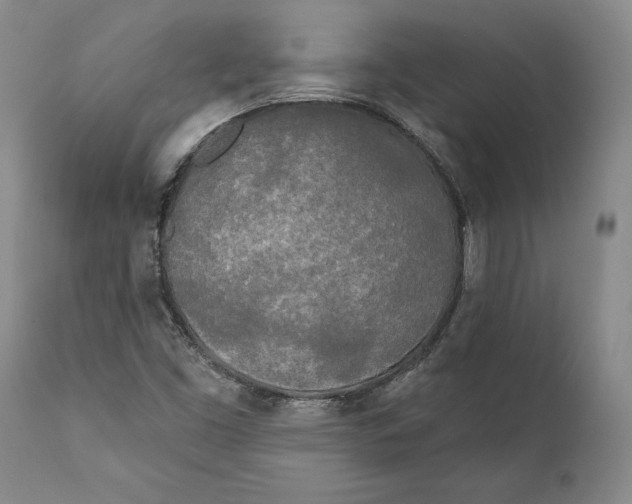 X0000111891453200908201309