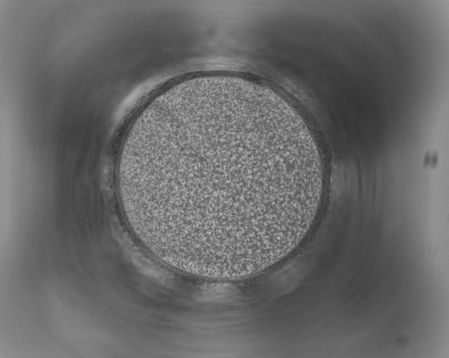 X0000111891454200908201309