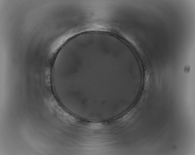 X0000111891455200908201309