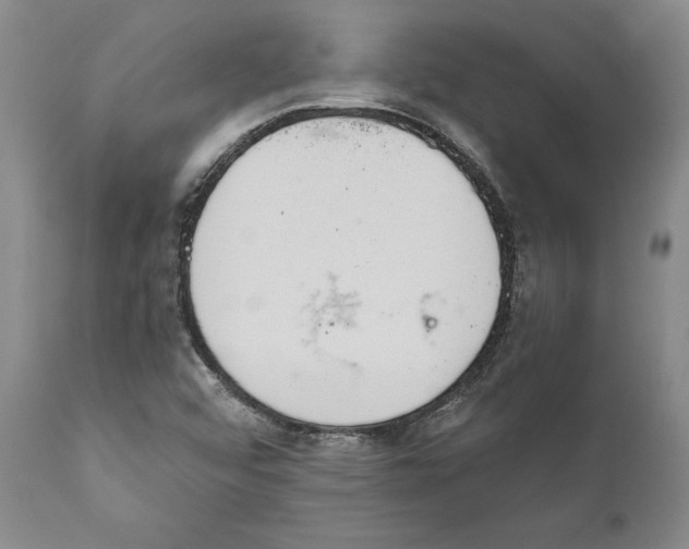 X0000111891456200908201309