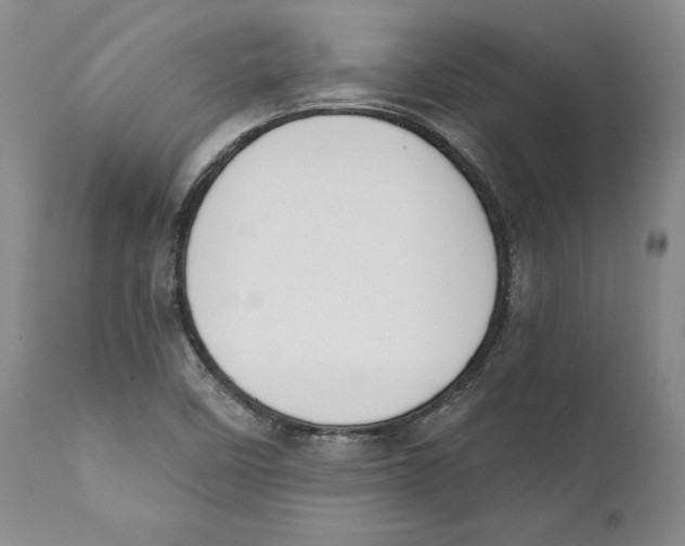 X0000111891458200908201309