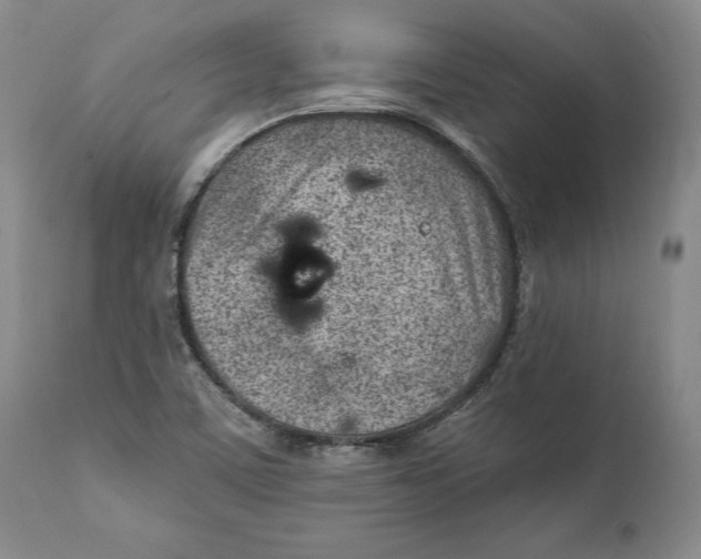 X0000111891459200908201309