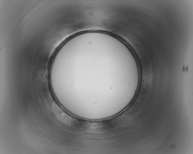 X0000111891460200908201309