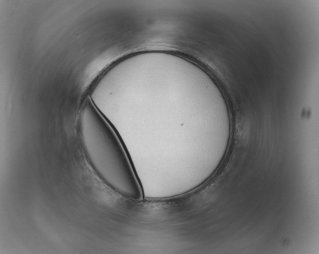 X0000111891461200908201309