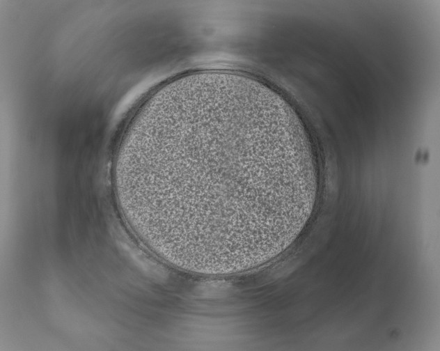 X0000111891462200908201309