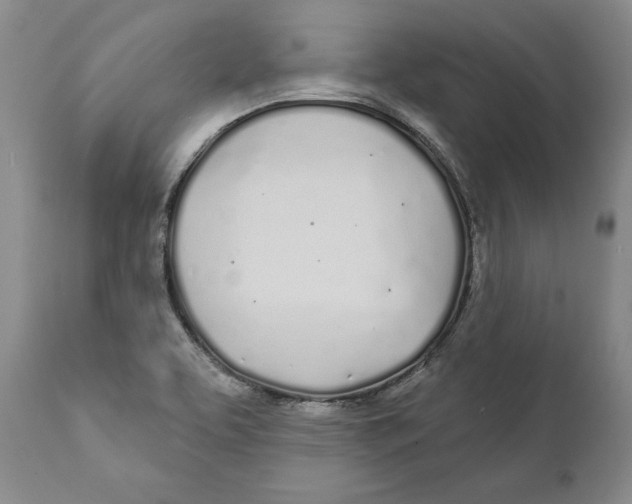 X0000111891463200908201309